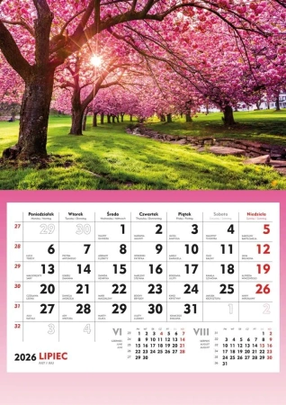 Kalendarz 2026 ścienny Kwitnące drzewa - praca zbiorowa