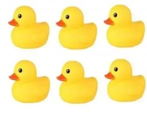 Kaczka do kąpieli 6-pack - Pro Kids