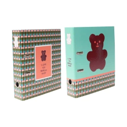Segregator A4 z dźwignia 8cm TEDDY BEAR - Ancor