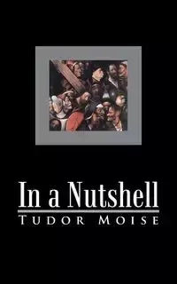 In a Nutshell - Moise Tudor