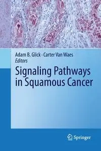Signaling Pathways in Squamous Cancer - Glick Adam B.