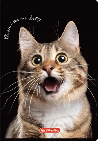 Zeszyt A5/80k kratka 70g Crazy Animal Her Fol A 5