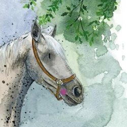 Karnet Koń pod drzewem - Alex Clark