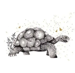 Karnet złocony kwadrat CL3820_BL Żółw - Clear Creations