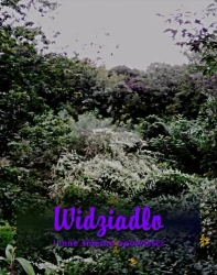 eBook Widziadło i inne smętne opowieści - Antologia mobi epub