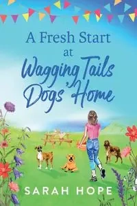 A Fresh Start in the Cornish Village - Hope Sarah