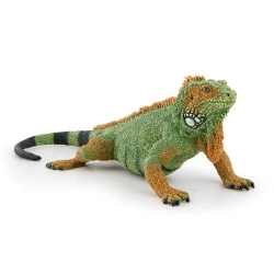 Iguana - PAPO