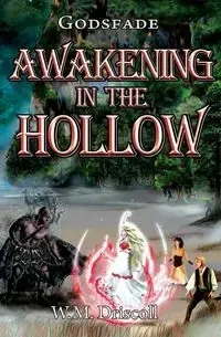 Awakening in the Hollow - Driscoll W.M.