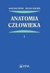 Anatomia człowieka T.1 - Adam Bochenek, Michał Reicher