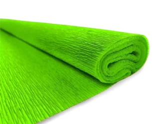 Bibuła marszczona nr 22 jasnozielony (10szt) - INTERDRUK