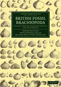 British Fossil Brachiopoda - Volume 1 - Thomas Davidson