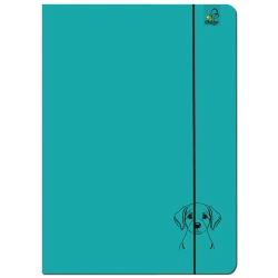 Paczka Teczka A4 z gumką Labrador turkus 5 sztuk - EV-Corp PAP