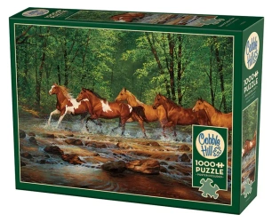 Puzzle 1000 Galopem przez rzekę 113538 - Cobble Hill