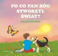 Kolorowanka. Po co Pan Bóg stworzył świat - Agata Ziobro