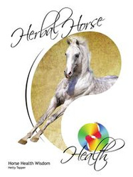 Herbal Horse Health - Tapper Hetty