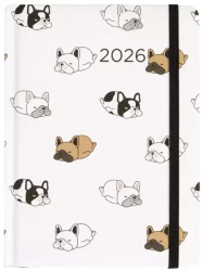 Kalendarz dzienny 2026 B6 Psy ALBI - praca zbiorowa