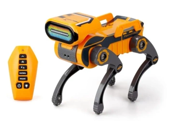 Robo Express pomarańczowy - Silverlit