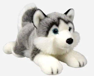 Husky leżący 34cm - Dubi
