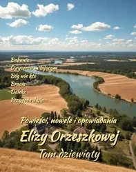 eBook Powieści, nowele i opowiadania Elizy Orzeszkowej. Tom IX - Eliza Orzeszkowa mobi epub