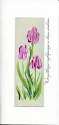 Karnet Urodziny DL U05 - Tulipany - MAK