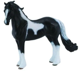 Ogier rasy Barock Pinto - Collecta
