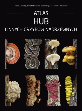 Atlas hub i innych grzybów nadrzewnych - praca zbiorowa