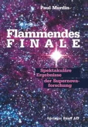 Flammendes Finale - Murdin