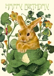 Karnet B6 z kopertą Urodziny Królik w kapuście - Madame Treacle