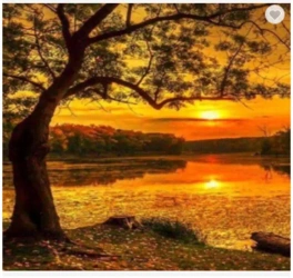 Diamentowa Mozaika Zachód słońca nad moczarami NO-1007414 - Norimpex