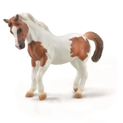 Kucyk Chincoteague kasztanowy Pinto - Collecta