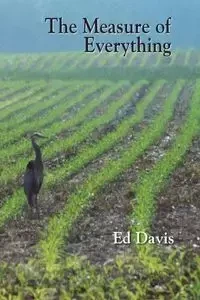 The Measure of Everything - Davis Ed