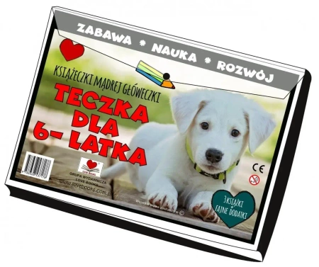 Teczka dla 6 latka. Książeczki mądrej główeczki - praca zbiorowa