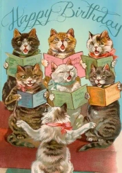 Karnet B6 z kopertą Urodziny Chór 7 kotów - Madame Treacle
