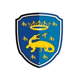 Tarcza rycerska z salamandrą - PAPO