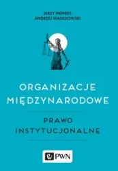 Organizacje międzynarodowe, Prawo instytucjonalne - Jerzy Menkes, Andrzej Wasilkowski