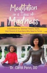 Meditation in a Time of Madness - Carol Penn Dr.