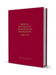 Księga Dwunastu Mniejszych Proroków - Izaak Cylkow