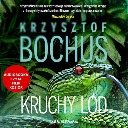 audiobook Kruchy lód - Krzysztof  Bochus