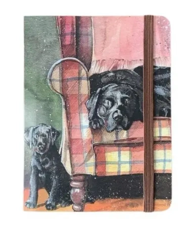 Notatnik z gumką A6 SCN32 Psy Sophie&Scarlett - Alex Clark