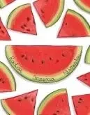 Karnet B6 Arbuzy - Henry