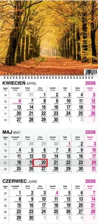 Kalendarz 2026 trójdzielny na spirali Las - O-press