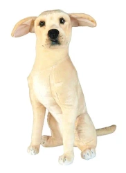 Pies Labrador 65cm - Dubi