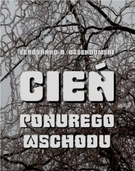 eBook Cień ponurego Wschodu. Za kulisami życia rosyjskiego - Antoni Ferdynand Ossendowski epub mobi
