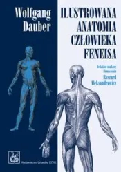 Ilustrowana anatomia człowieka Feneisa  PZWL - Wolfgang Dauber