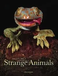 Strange Animals - Jackson Tom