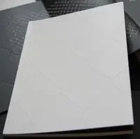 Dominik Lejman Płot - katalog do wystawy - PRACA ZBIOROWA