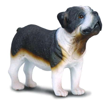 Pies buldog - Collecta