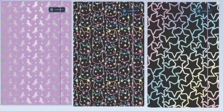Teczka z gumką A4 Holo Shine ASTRA - ASTRA papiernicze