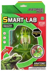Zestaw Naukowca Anatomia Żaba Mega Creative 571665