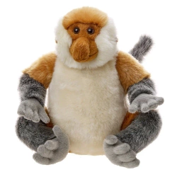 Nosacz sundajski 23cm - Beppe